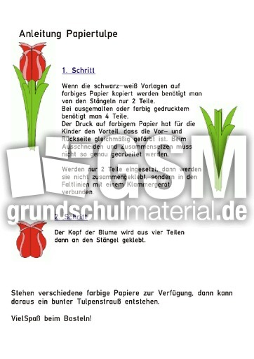 Papiertulpe_Anleitung.pdf